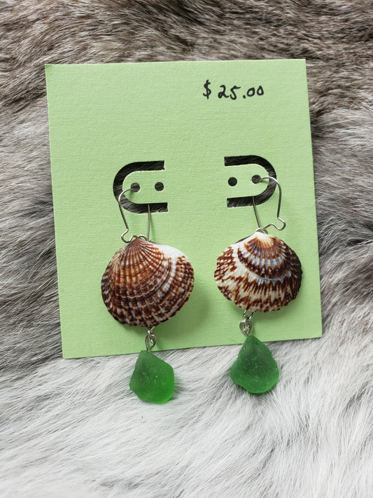 *Multiple Shell Earrings